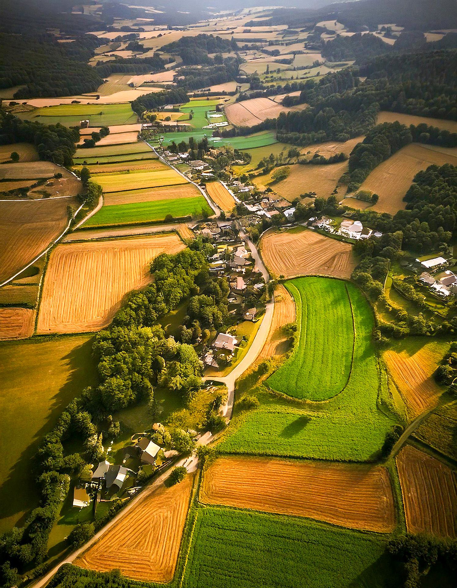 Agricultural Equipment Dealers Success Story